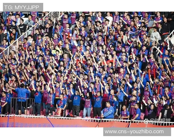 足球国家的魅力与文化探秘：从草根到世界杯的辉煌历程